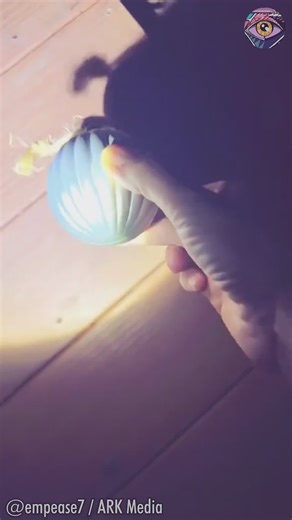 Woman finds ant colony inside Christmas bauble | Bright Side