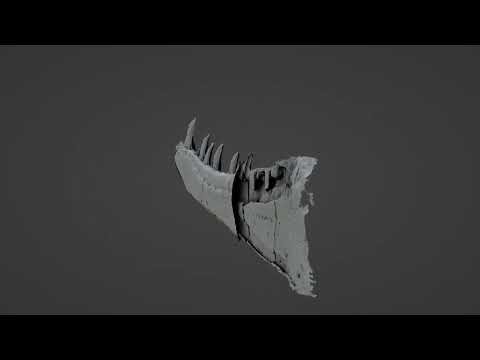 The new species of flesh-eating dinosaur that once roamed south Wales: an imaging technology revolution