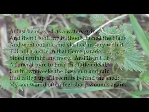 "Nettles" by Vernon Scannell (read by Tom O'Bedlam)