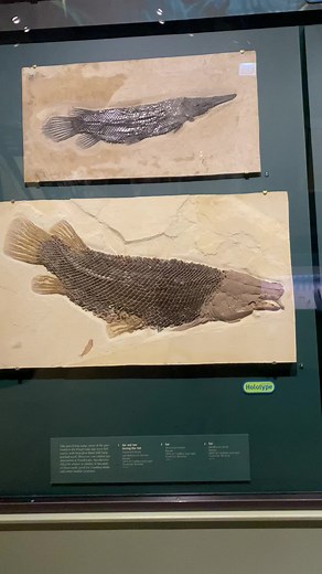 Exploring Rare Fossil Fish at Fossil Hill Pond