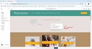 I desperately need help with pagination link on blog posts!!!