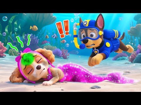 ¡Date prisa! ¿CHASE salva a la sirena SKYE del fondo del mar? | PAw PatRol en Español | Rainbow 3