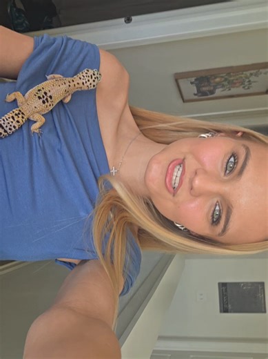 🦎 #lizard #blue #fyp | lizard