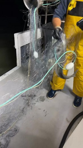 60K views · 856 reactions | Pour toute commande envoyée moi un sms au 0651676759…. Bonne soirée | Vente direct bateau Cassy | Facebook