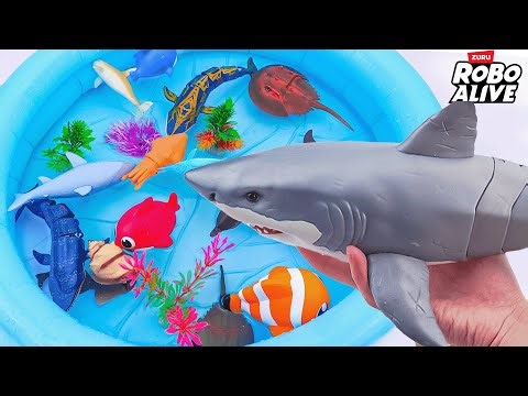 25 Minutes Satisfying with Unboxing Review White Shark & Zuru Whale & NiNo Fish Toys ASMR