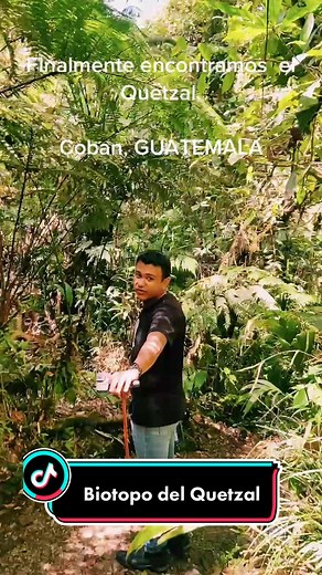 El #Quetzal en Biotopo