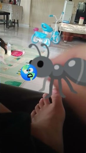 you seem to have simplace my ant farm