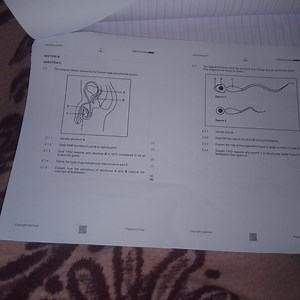 Life Sciences QuestionsSECTION BQUESTION 2.1 The diagram be... | Filo