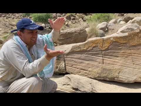 Trough Cross Beds within Upside Down in Sandstone