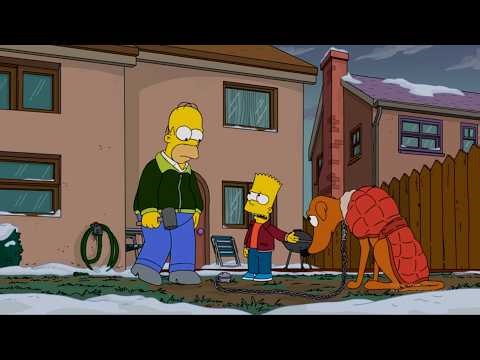 The Dog's Way | Season 31 Episode 22