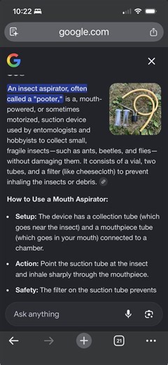 Entomemeology | Who here has a pooter | Facebook