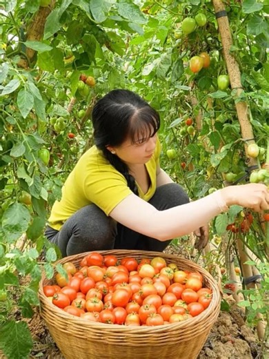 Essential Bushcraft Skills for Successful Harvesting