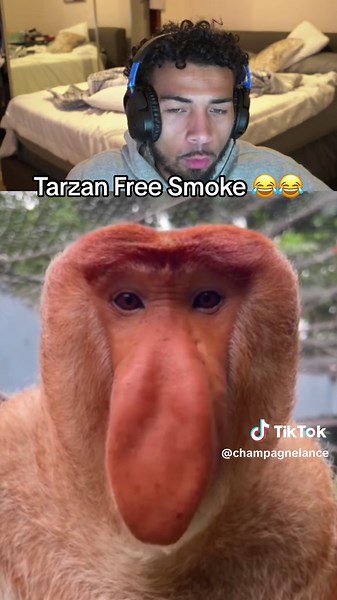 Evolution of Things: Tarzan Edition