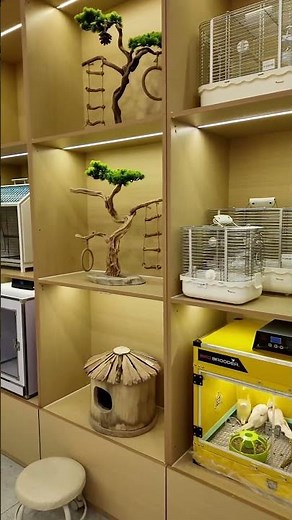 Recruiting franchisees nationwide, new industries, hand-in-hand teaching you how to open a store