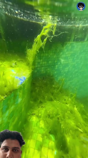 How to clean swimming pools #swimming #pools