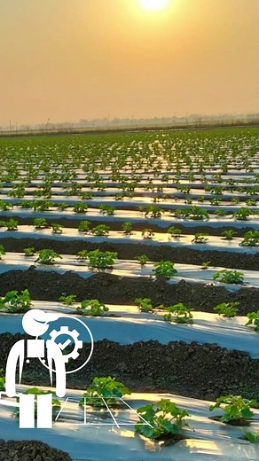 2.4K views · 30 reactions | Important Steps for Mulch Installation!...