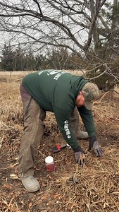 Resetting traps | Jeff Dunlap