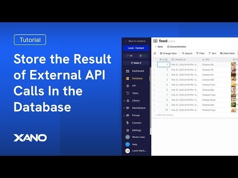 How to Store the Result of External API Calls In the Database