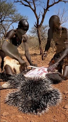 Hadza Survival: Amazing Porcupine Harvest Skills Revealed!