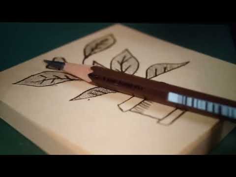 Drawing ASMR ✏️ | Relaxing Pencil Sounds for Deep Focus & Sleep