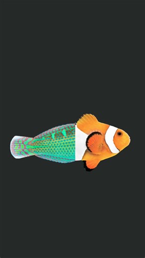 stop at correct time impossible #music #rap #trap #hiphop #geniune