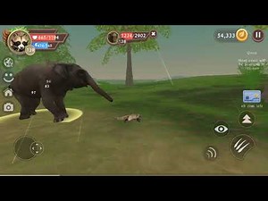Wildcraft: Animal Sim Online 3D