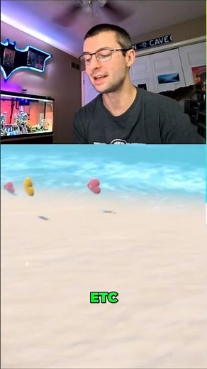 Perfect Event for Farming EXP Candies in Pokémon Scarlet & Violet Raid News