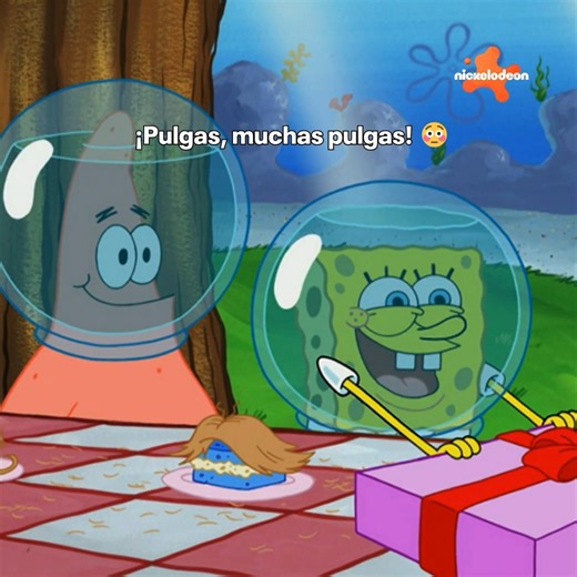 1.9M views · 47K reactions | ¡INVASIÓN DE PULGAS!  | Bob Esponja | Facebook