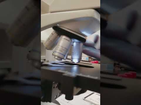 Introduction to Clinical Laboratory Science: Cleaning and Storing the Microscope