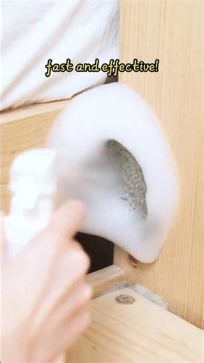 Bleach and vinegar do not kill mold. Removing mold requires a professional Highly Effective Mould