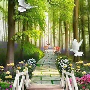 83K views · 1.8K reactions | Tím chung tình on Reels | Facebook