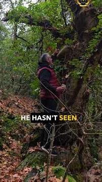 "Βουνό, Πλάκες και Καλή Παρέα!"