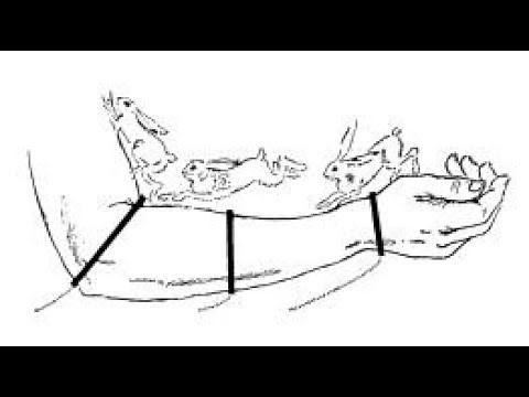 Intentist Bites 41: The Cutaneous rabbit illusion and its effect on art curation.