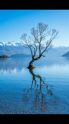 That Wānaka Tree — standing gracefully at the southern end of Lake Wānaka #pieterpics | Pieter du Plessis Photography
