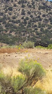 Que buen control UTV Rzr 🍀💪🏻🏁🔝👏🏻👍🏻 #Legacy #Desert #LastWeek 📽️TurnTv2 | PAUL Gordon Photography