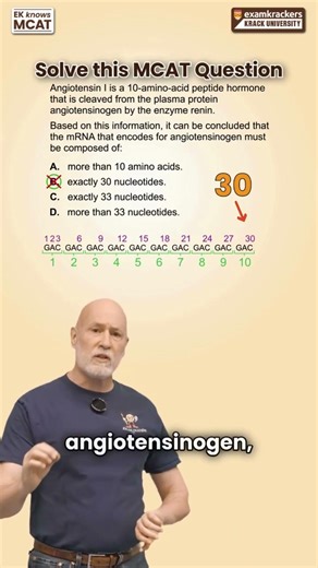 mRNA for Angiotensinogen - 1 Minute MCAT Question