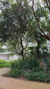 Taking a leisurely mid-day drive through the stunning Ballito neighbourhood, and it was truly a feast for the eyes! 🌿🏡 The area is filled with picturesque properties, each uniquely charming and wildly landscaped. The serene coastal ambiance and the fresh sea breeze make it the perfect place for relaxation and admiration. Whether it's the modern architectural designs or the lush greenery that caught my eye, Ballito never fails to impress with its blend of natural beauty and elegant homes. A dri