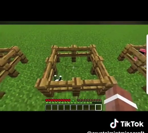 Minecraft Name Tags: Building Unique Characters