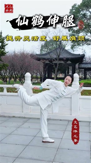 The most practical stretching exercises Regularly practice the crane leg stretch to enhanc