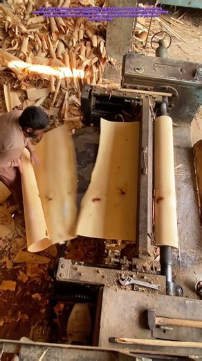 Rotary Peeling: How Lathes Transform Logs into Veneer Sheets