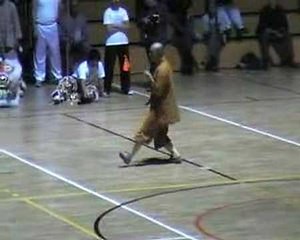 Xing Yi Quan Demonstration