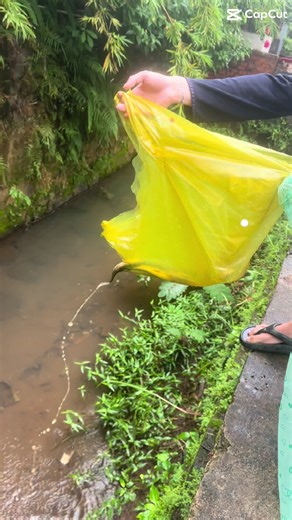 Tài khoản được đề xuất