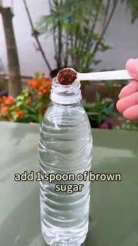 In just 15 seconds, I’ll teach you to make a magical homemade rooting solution—no cost at all!