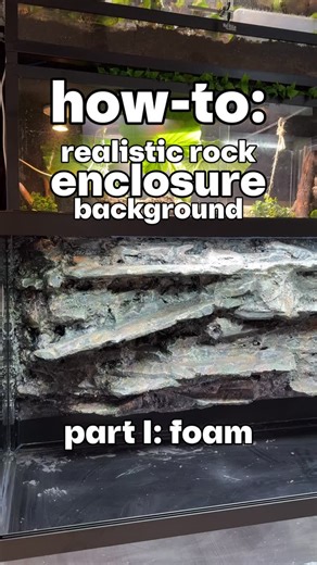 Neversun on Instagram: "✨this is my start to finish how-to of making a DIY rock background for reptile enclosures; this reel is 1 of 5 and shows the start of the build with foaming and insulation board. it is a 4x2x2 pvc terrarium I will go on to carve, drylok, paint, seal, and decorate in a few more videos to show the process so you can make one too! this was a lot of fun to do, increases useable area, looks good, is waterproof and easy to clean - and most importantly, is a Christmas present fo