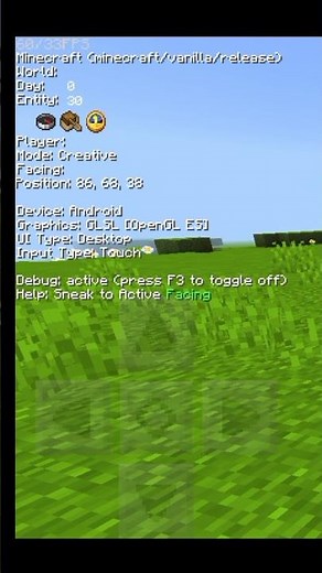TEXTURE INI MEMILIKI DEBUG SCREEN ATAU F3 SEPERTI DI JAVA EDITION