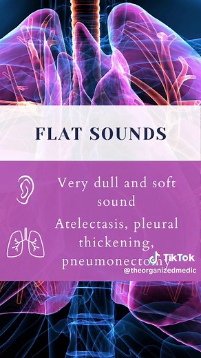Let's learn lung percussion sounds together 🫁 🩺 #lungsounds #medicina #medstudent #medicine #studyhacks #nursing #nurse #examtips #medicalstudent Exploring lung percussion sounds in medical education Mastering lung percussion techniques for medical students Understanding abnormal lung percussion sounds Identifying lung percussion findings in clinical practice Lung percussion sounds: A comprehensive guide for med students Clinical assessment of lung percussion sounds Percussion techniques for e