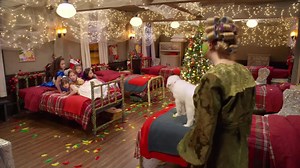 Watch 'What is going on in here? Willamina, who brought a puppy in here? It was me, Ms. Stout. I...' | The Search for Santa Paws Clip