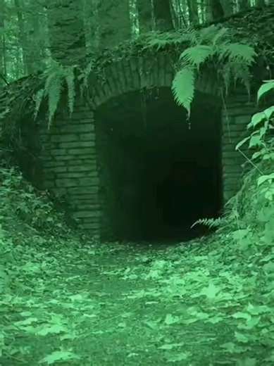 Something Crawled Out Of That Tunnel #aihorror #aishorts #bytefright #scary #horror #creepytok #horrortok #dontlookaway #caughtoncamera #fyp #trailcam #nightvision #nightcam #paranormal #caught #cryptid #tunnel