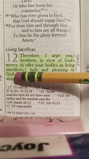 Roman's 12:1 Bible Verse