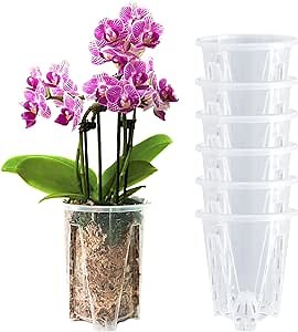 Orchid Pot 6 Pack 5.5 inch, Orchid Pots for Repotting, Plastic Clear Orchid Pots with Holes, Flower Planter Pot Indoor Outdoor, Orchids Planter